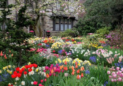 Сезонные цветы как создать красивый сад весной