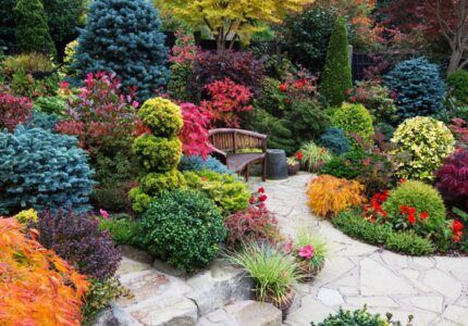 Современные тенденции в дизайне садов сочетание цветов и текстур